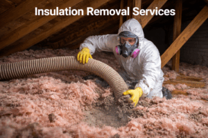 Insulation Removal Services: Why Professional Removal Matters More Than You Think